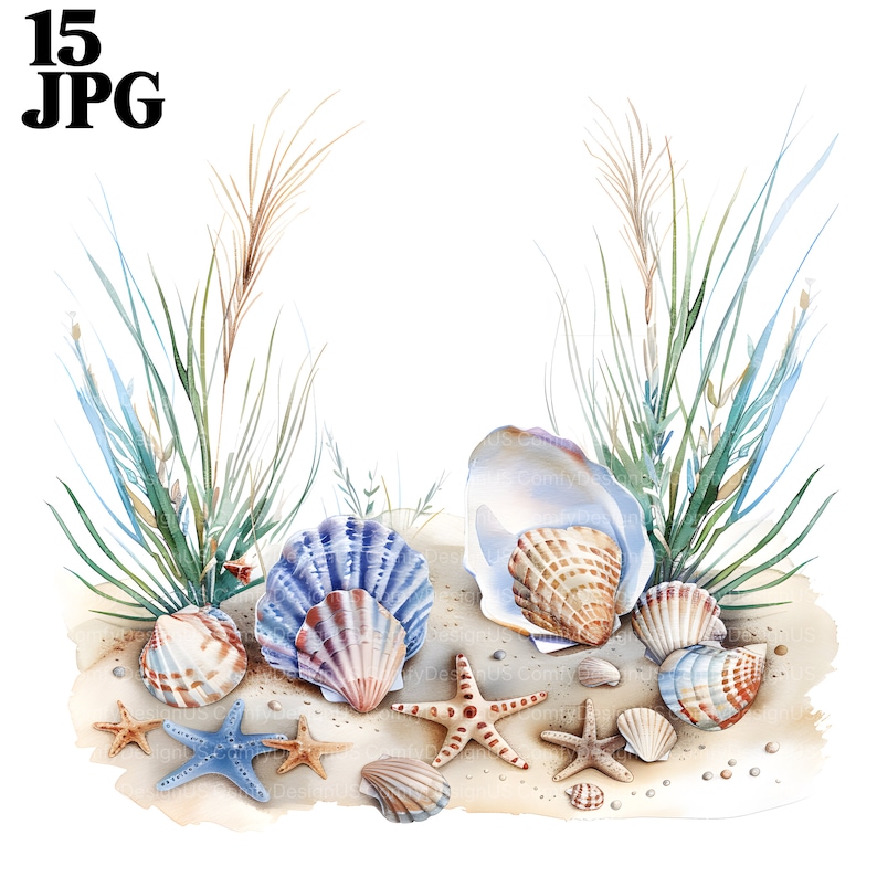 May include: A watercolor painting of seashells, starfish, and seagrass on a sandy beach. The seashells are in various colors, including blue, brown, and white. The starfish are red and orange. The seagrass is green.