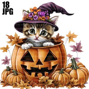 May include: A digital illustration of a kitten wearing a witch hat adorned with flowers, sitting inside a carved pumpkin. The image has a Halloween theme, with pumpkins and autumn leaves.