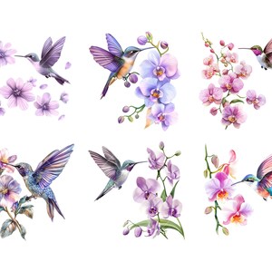 Peut inclure: Illustrations &agrave; l'aquarelle de colibris et de fleurs dans des tons de violet, rose et bleu. Les oiseaux sont repr&eacute;sent&eacute;s en vol, interagissant avec des orchid&eacute;es et d'autres fleurs. L'&oelig;uvre a un style d&eacute;licat et artistique, id&eacute;al pour l'art mural ou le design textile.