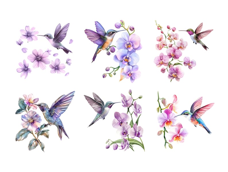 Peut inclure: Illustrations &agrave; l'aquarelle de colibris et de fleurs dans des tons de violet, rose et bleu. Les oiseaux sont repr&eacute;sent&eacute;s en vol, interagissant avec des orchid&eacute;es et d'autres fleurs. L'&oelig;uvre a un style d&eacute;licat et artistique, id&eacute;al pour l'art mural ou le design textile.