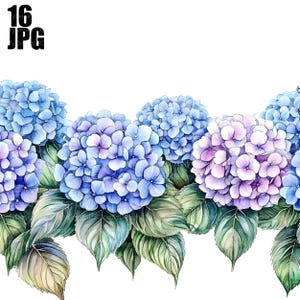 Hortensien in einer Reihe, Clipart Bundle, 16 hochwertige JPGs, Hortensien Clipart, Floral, Kartenherstellung, Clip Art, Papiermodelle, Scrapbooking