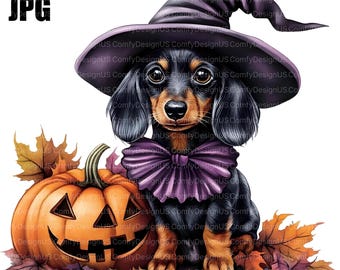 May include: A digital illustration of a dachshund wearing a purple witch hat and bow tie, sitting next to a carved orange pumpkin and autumn leaves. The dog is black and tan. The image includes the text "18 JPG".