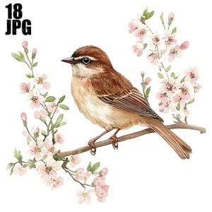 18 Floral Bird On Branch Clipart, Spring Bird Clipart, High Quality JPGs, Watercolor Clipart, Junk Journal, Digital Download, Paper Craft
