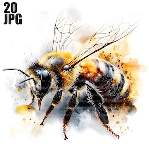 20 Bee Clipart, Bee Graphics, Bee Illustrations, Printable Bees, Beekeeping Clipart, Watercolor Clipart, Junk Journal, Digital Download, JPG