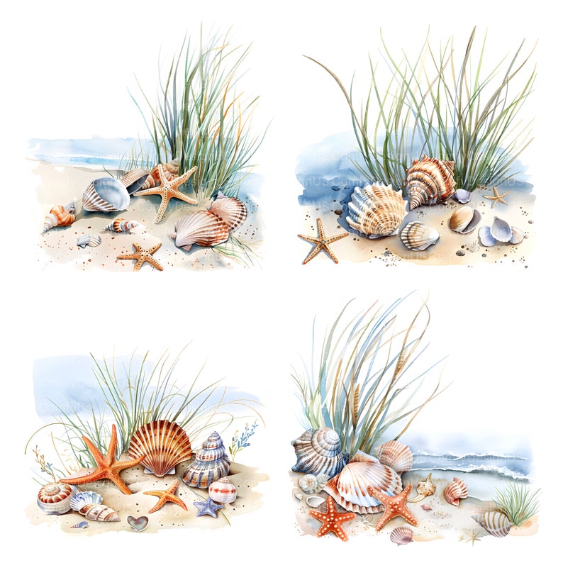 May include: Four watercolor illustrations of seashells and starfish on a sandy beach with green grass. The seashells are various colors, including white, brown, and pink. The starfish are orange and have five points.