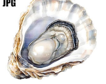 20 imágenes prediseñadas de ostras, imágenes prediseñadas de alimentos, imágenes prediseñadas de perlas, archivos JPG de alta calidad, imágenes prediseñadas de acuarela, diario basura, descarga digital, manualidades de papel, imágenes prediseñadas