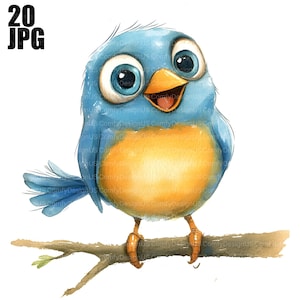 20 imágenes prediseñadas de pájaros divertidos, pájaros de dibujos animados, pájaros extravagantes, archivos JPG de alta calidad, imágenes prediseñadas de acuarela, diario basura, descarga digital, manualidades de papel