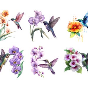 Peut inclure: Illustrations &agrave; l'aquarelle d'oiseaux-mouches avec des fleurs dans divers arrangements. Les oiseaux ont des plumes iris&eacute;es et de longs becs, repr&eacute;sent&eacute;s pr&egrave;s de fleurs orange, violettes et roses. L'&oelig;uvre a un style doux et pictural, avec des p&eacute;tales et des feuilles d&eacute;taill&eacute;s.