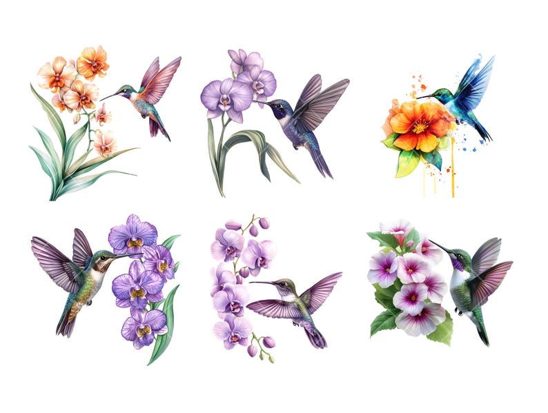 Peut inclure: Illustrations &agrave; l'aquarelle d'oiseaux-mouches avec des fleurs dans divers arrangements. Les oiseaux ont des plumes iris&eacute;es et de longs becs, repr&eacute;sent&eacute;s pr&egrave;s de fleurs orange, violettes et roses. L'&oelig;uvre a un style doux et pictural, avec des p&eacute;tales et des feuilles d&eacute;taill&eacute;s.