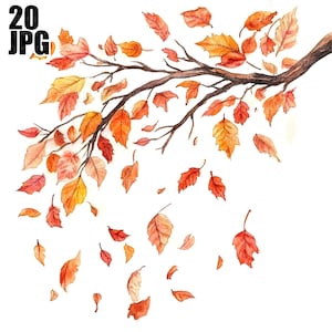 20 fallande höstlöv clipart, ekgren, höst clipart, kvalitet JPG, akvarell clipart, skräpjournal, digital nedladdning pappershantverk