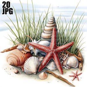 20 Tesouros do Oceano Clipart, Oceano Clipart, Estrela do Mar Clipart, Madeira Flutuante Clipart, Conchas Clipart, Diário de Lixo, Download Digital, Clip Art JPG