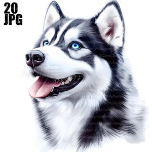 20 Husky Clipart, Siberian Husky, Husky Hund Clipart, Husky Bilder, Husky-Liebhaber, süße Huskys, Tier Clipart, digitaler Download Clip Art JPG