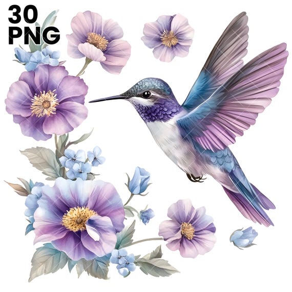 Hummingbird at Orchid Flower Clipart Bundle, Hummingbird Clipart, Hummingbird PNG, Bird Clipart, High Quality PNGs, Junk Journal Paper Craft