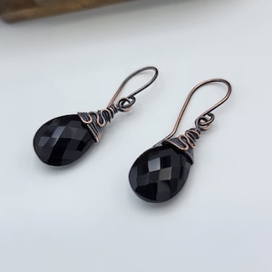 Black Onyx and Copper Earrings