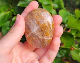 Piedras de palma curativas doradas naturales