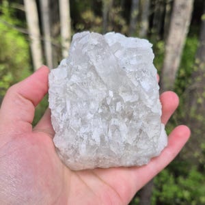 May include: A large, clear quartz crystal cluster with multiple points. The crystal is held in a hand, with a blurred forest background. The quartz appears to be a light, translucent color.