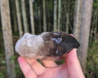 May include: A smoky quartz crystal with a clear point and a dark brown base. The crystal is held in a hand against a blurred background of trees.