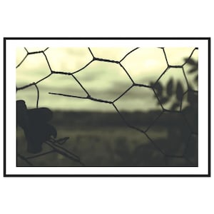 Vista suggestiva di Trent Park attraverso la recinzione metallica 90 x 60 cm / 36x24″ Stampe con cornice in legno su carta opaca di alta qualità, arte murale con paesaggio cupo e suggestivo