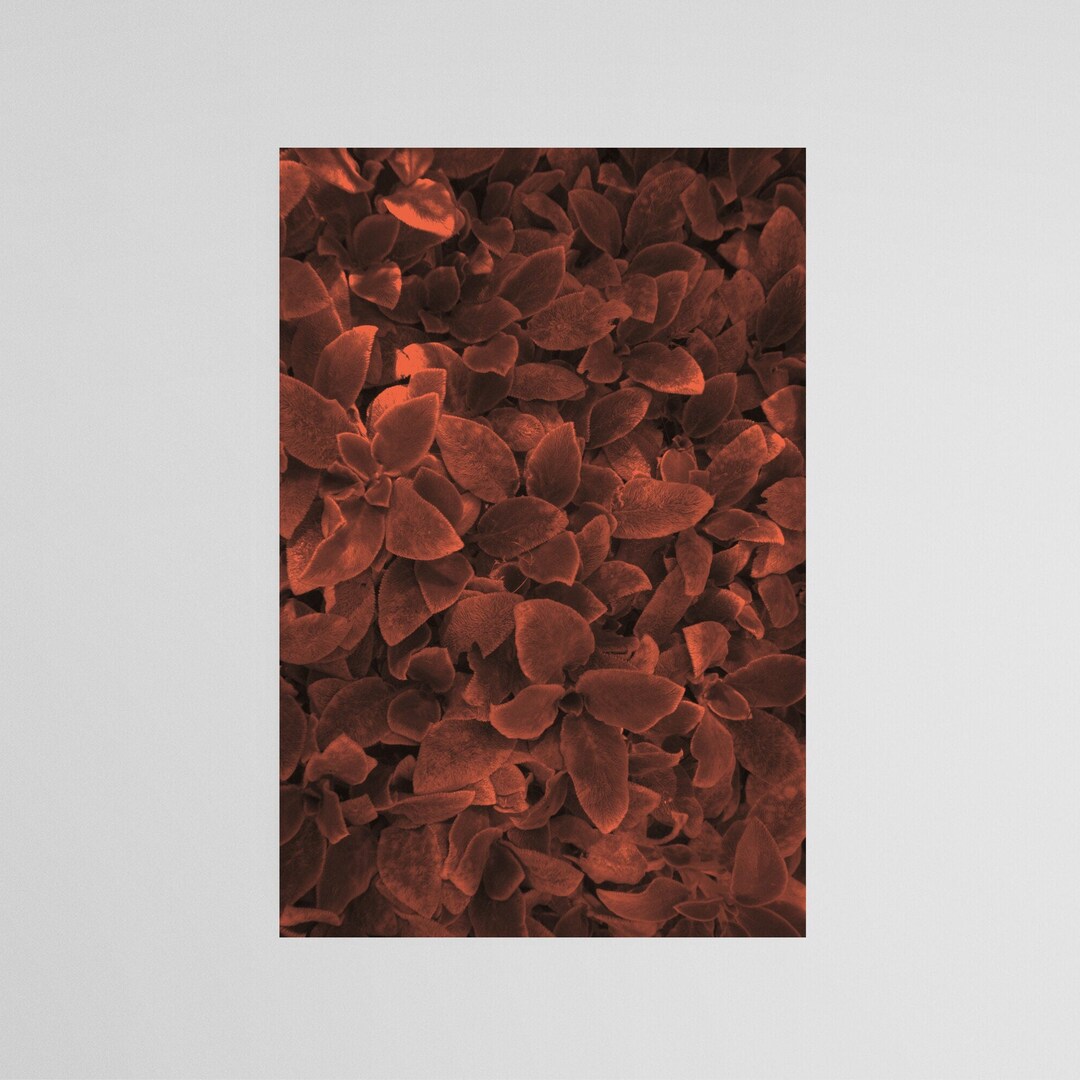 Dark Red Floral Printable Wall Art, Gothic Flowers in Bloom Digital ...