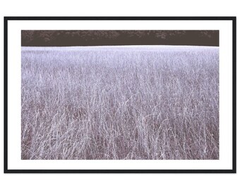 Abstract Landscape in Trent Park 36 x 24 Inch Premium Matte Paper Wooden Framed Print, Surreal Field of Grass Wall Art, Blue Tall Grass Art