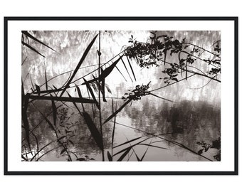 Riverbank Scene in Enfield Town Park 36 x 24 Inch Premium Matte Paper Wooden Framed Print, Black and White River Wall Art, Monochrome River