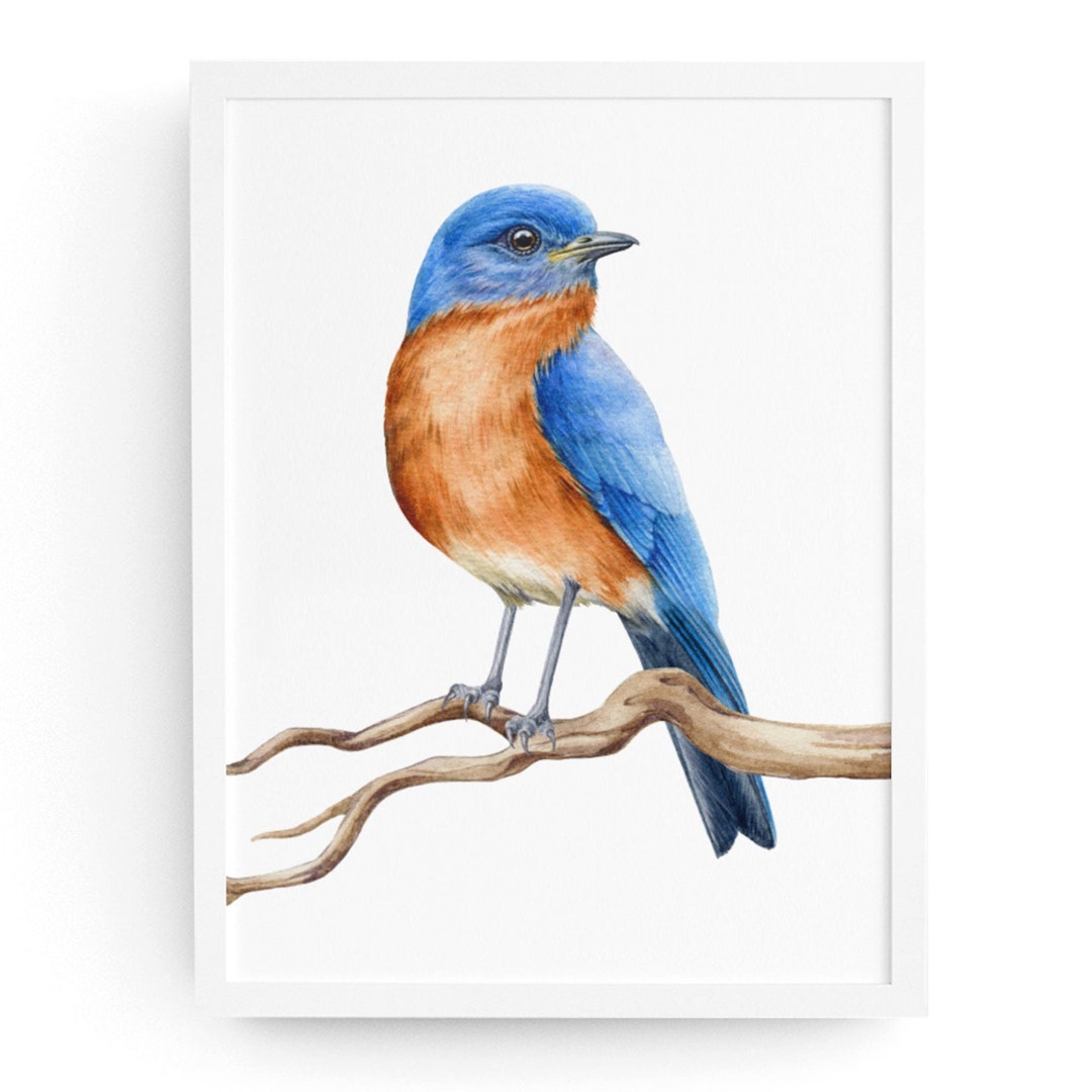 Blue Bird Wall Art Watercolor Illustration Print Poster Etsy
