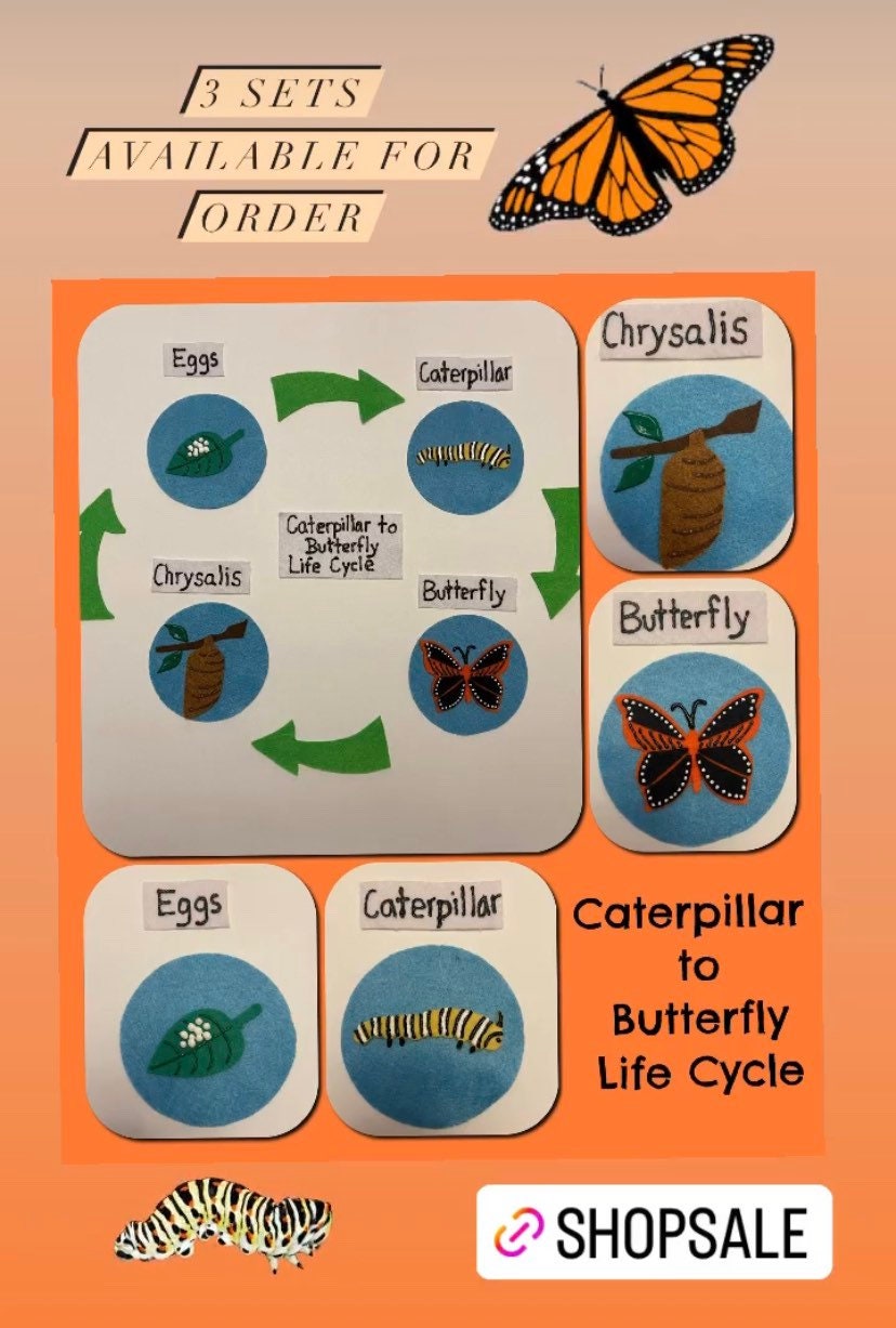 Caterpillar to Butterfly Life Cycle Felt Set, Teacher Resource ...