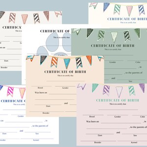 Paquete de certificado de nacimiento para mascotas