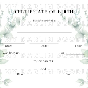 Certificato di nascita per animali domestici - 105