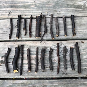 May include: An overhead shot of various dark brown and black sticks of varying lengths arranged on a weathered wooden surface. The sticks have rough textures and some have small roots or broken ends. The arrangement is symmetrical.