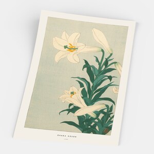 May include: A vintage Japanese woodblock print of white lilies with green leaves on a light blue background. The print is signed "Ohara Koson" in the bottom right corner.
