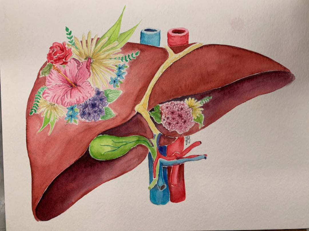 Floral Liver Etsy