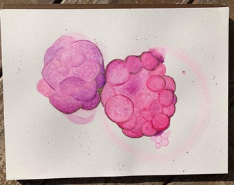 Custom Watercolor Embryo- original and handpainted