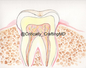 Watercolor Tooth