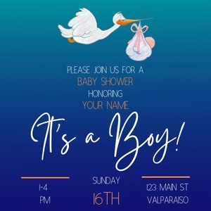 N’importe quelle couleur - Stork Baby Shower Inviter