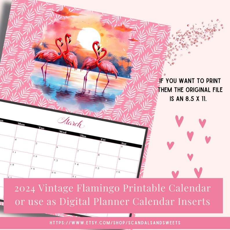 2024 Printable or Digital Tropical Flamingo Calendar Monthly Calendars