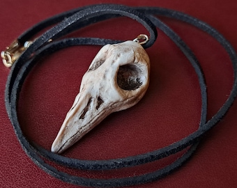 May include: A white ceramic bird skull pendant on a black leather cord. The skull has a detailed, realistic design with a hollow eye socket.