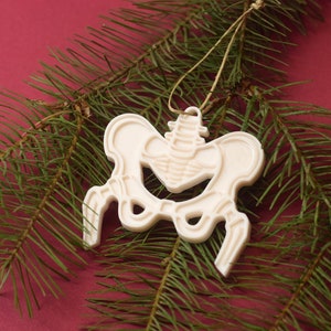 May include: White ceramic ornament shaped like a human pelvis bone, hanging from a green pine branch against a red background.