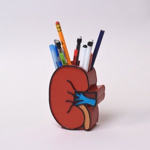 Anatomical Kidney Pen holder, Kidney decor, dialysis, Dialysis Technician, Nephrology Nurse, Medical pen holder, Dialysis Tech, Kidney gift