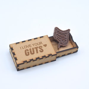 Darm Geschenkbox, Darm Magnet, Darm Valentinstag, Verdauungs Geschenk, Magen-Darm-Geschenk, Doppelpunkt Geschenk Gastroenterologe Medizinisches Geschenk