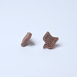 Intestine earrings, gut earrings, Gastrointestinal earrings, Colon earrings, gastroenterologist, large intestine, Medical, Med Power