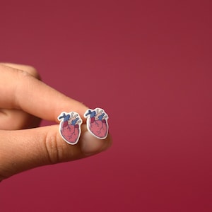 Anatomical Human Heart Stud earrings, human heart jewelry, Doctor, Medical, Medical earrings, Anatomy jewelry,