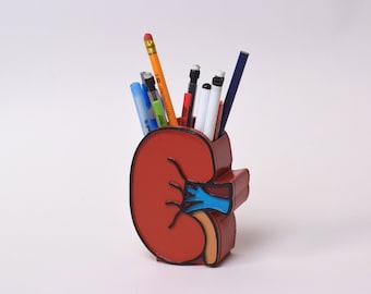 Anatomical Kidney Pen holder, Kidney decor, dialysis, Dialysis Technician, Nephrology Nurse, Medical pen holder, Dialysis Tech, Kidney gift