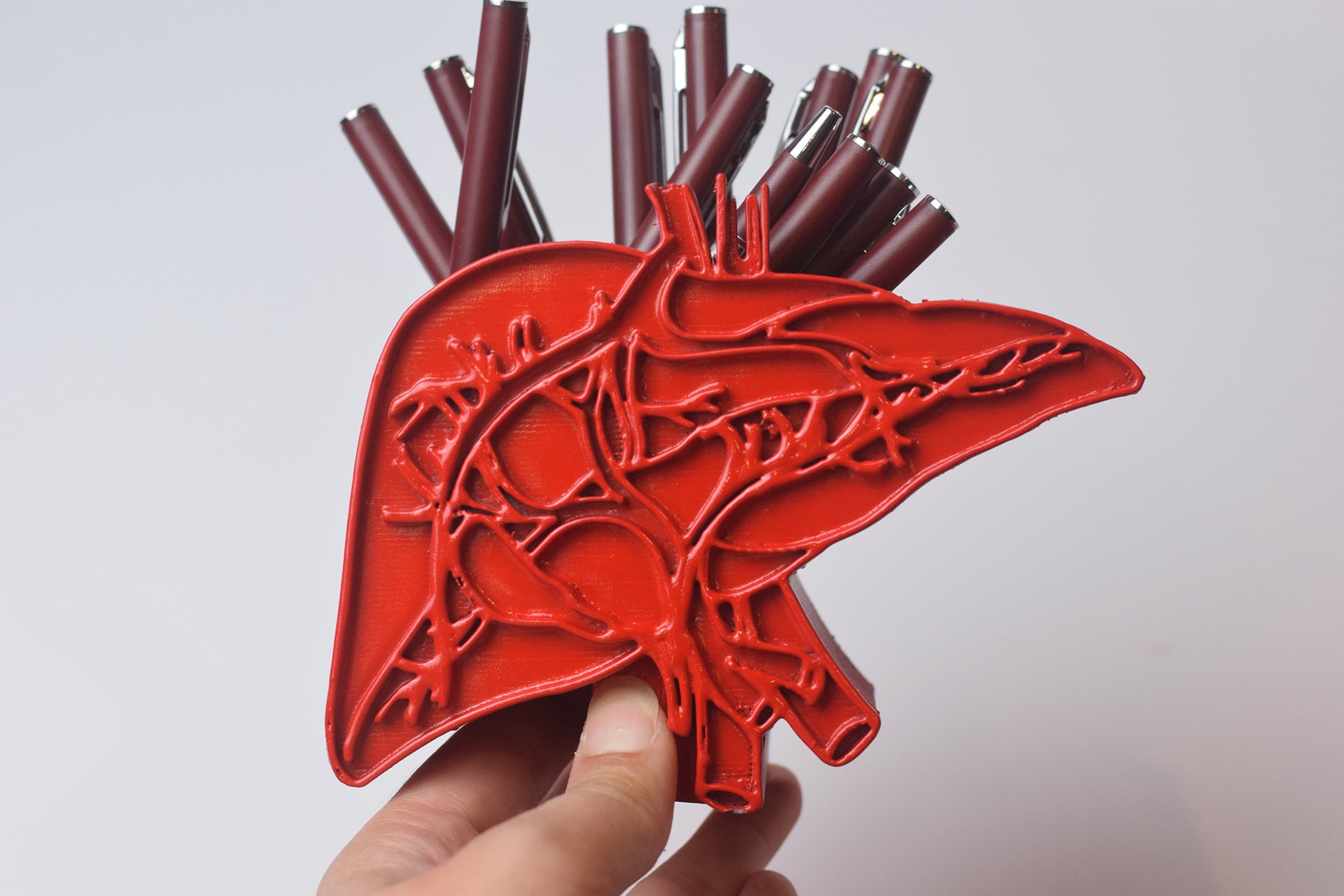 Red Liver Pen Holder Medical Pen Holder Gift for Doctor Etsy