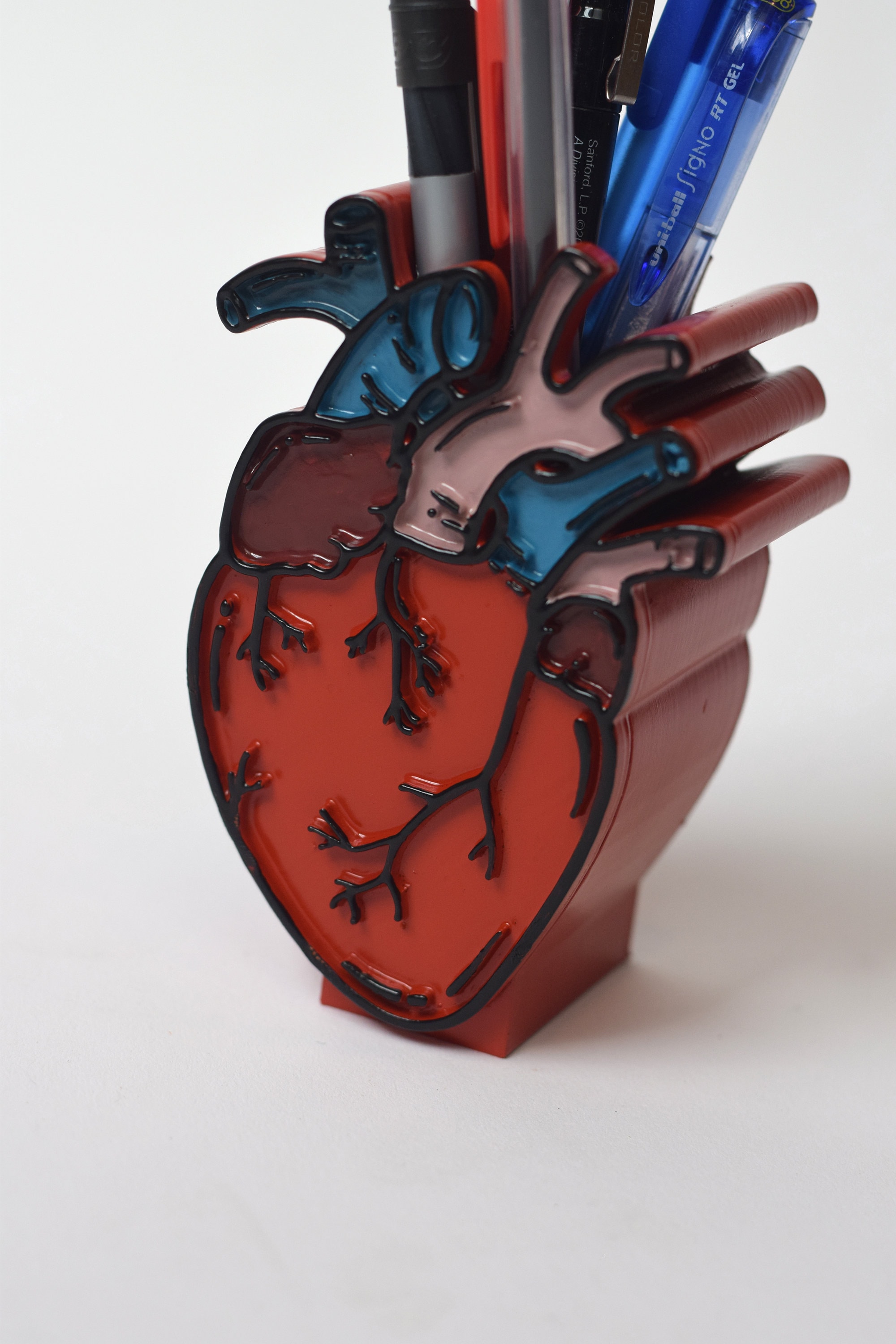Anatomical Human Heart Pen holder heart decor Doctor Etsy