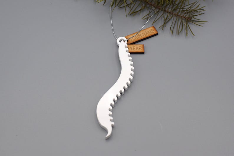 Acrylic Spine Ornament Spine Surgery Ornament Doctor Ornament Medical