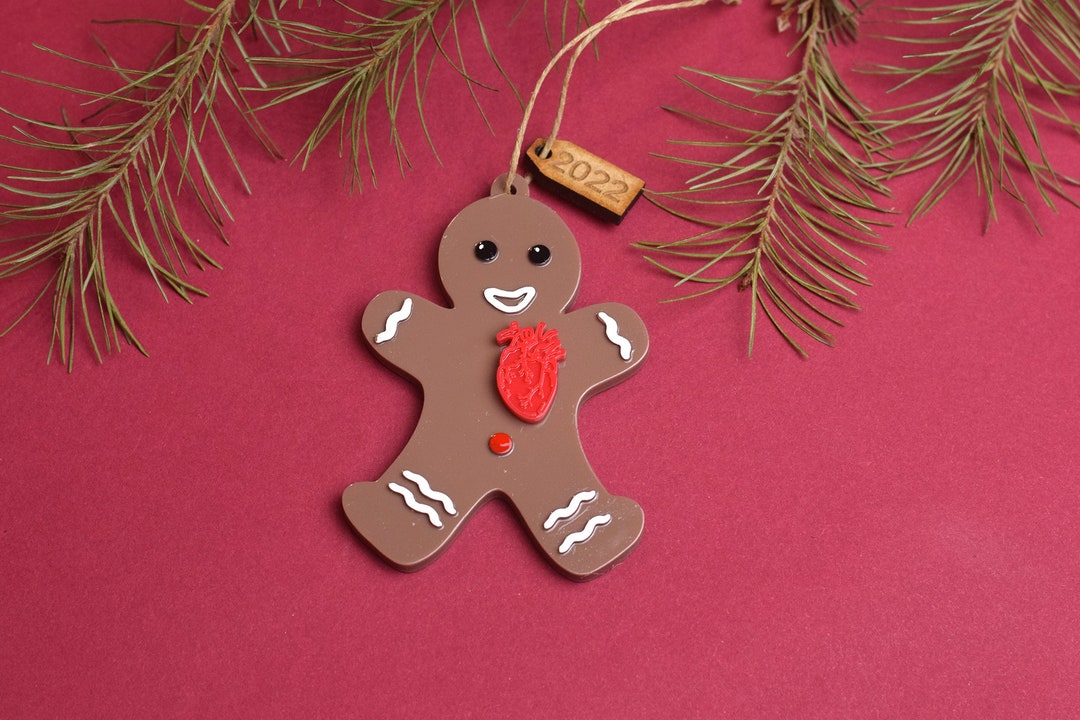 Anatomical Human Heart Ornament, Heart Christmas Ornament, Doctor