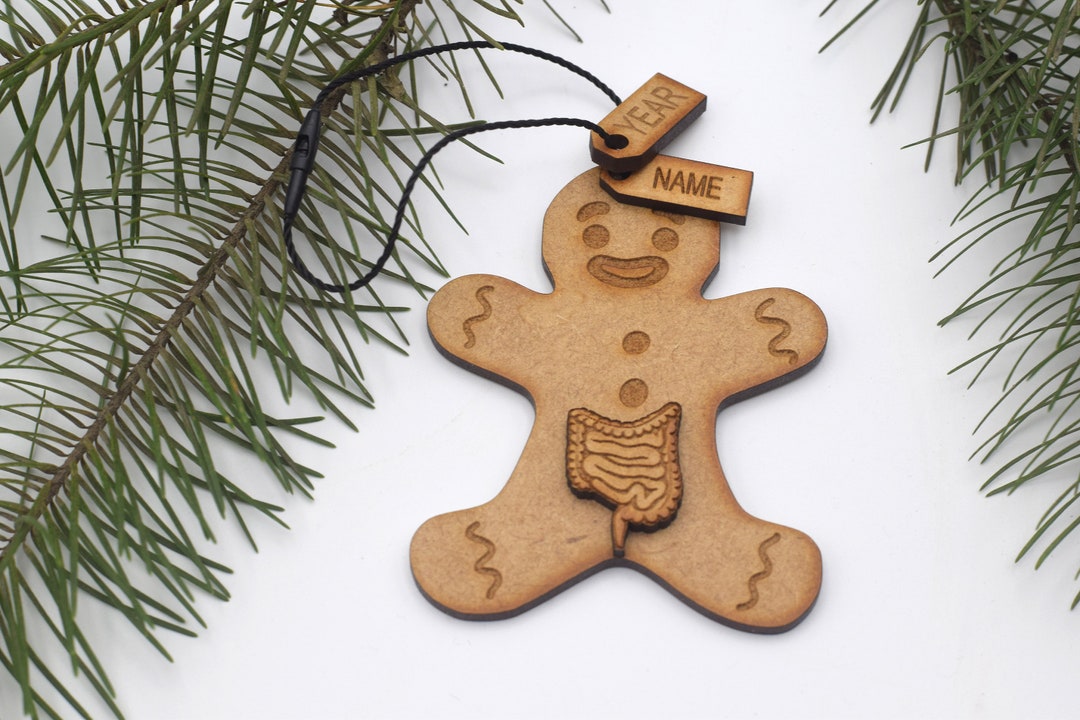Intestine Gingerbread Man Ornament Intestine Gift Gastrointestinal ...