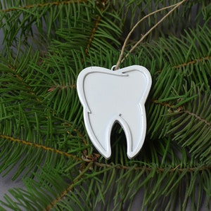 May include: White tooth-shaped Christmas ornament hanging from a pine tree branch.