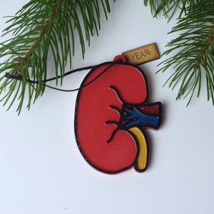 Anatomical Kidney Ornament, Kidney Ornament, dialysis ornament, Dialysis Technician, Nephrology Nurse, Dialysis Tech, Kidney gift, Med power